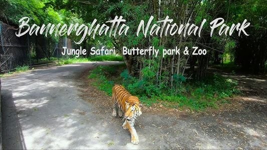 BANNERGHATTA NATIONAL PARK