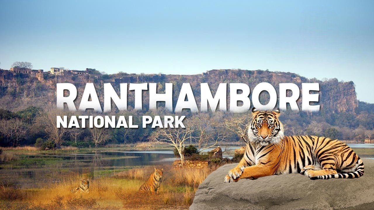 RANTHAMBORE NATIONAL PARK