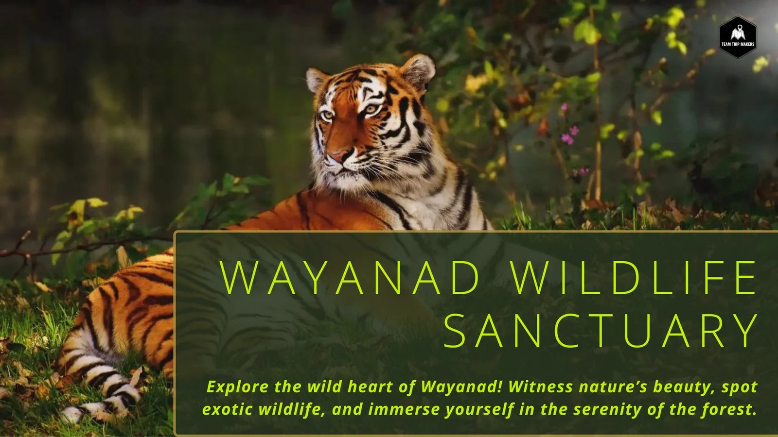 WAYANAD NATIONAL PARK